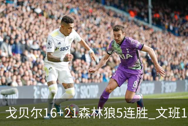 戈贝尔16+21森林狼5连胜 文班12+10马刺15连败